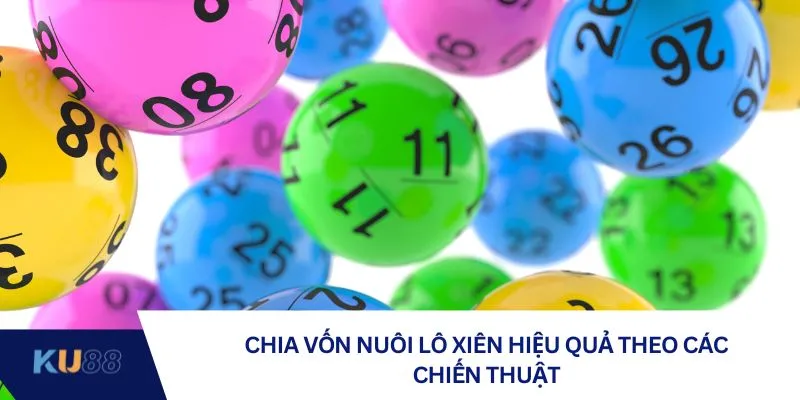 Chia vốn nuôi lô xiên hiệu quả theo các chiến thuật
